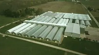 Cedar Lane Farms Corp