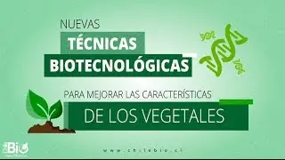 Chilebio: 