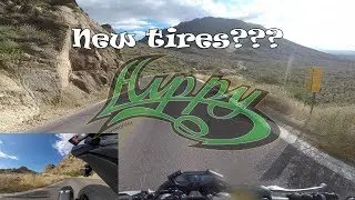 Pilot Power better than Dunlop's Q3s | Hippy's Adventure