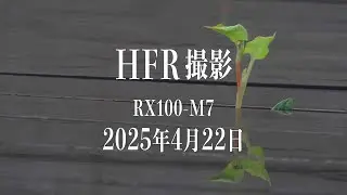 HFR撮影 【4K HDR】