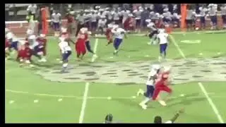 Horatio Fields WR/OLB #80 2017 Highlights