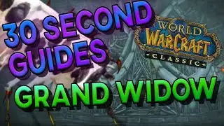 Grand Widow Faerlina - 30 Second Guides - Naxxramas