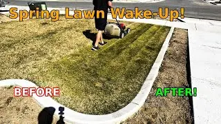 Early Spring Lawn Care &ndash; Why Scalp & Dethatch Now!