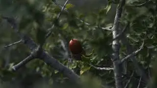 First Video. Hiking on Ymmitos mountain
