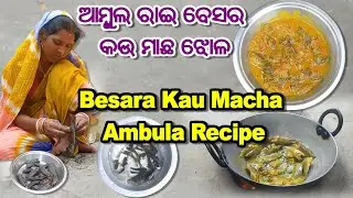 କୋଉ ମାଛ ସୁରିଶ ଆମ୍ବୁଲ ଝୋଳ | Kau Machha Ambula Jhola | Kau Machha Curry | Kau Machha Recipe