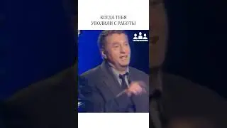 Когда уволили с работы #shorts #жириновский #humor #прикол #workhumor #слабоезвено #увольнение