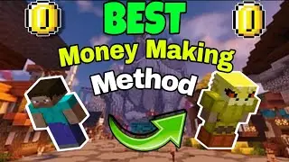BEST MONEY MAKING METHOD in Fakepixel Skyblock (BEGGNER free) in 2025