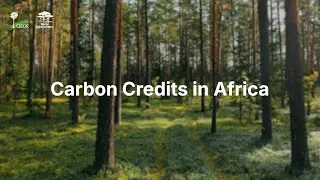 Carbon Credits in Africa