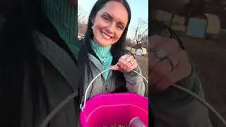 Feeding animals & family fun #farming #horse #cattle #homestead #countrylife #countrykids #cowboy