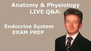 4/30/25 Anatomy & Physiology LIVE Q&A: Endocrine System Exam Prep