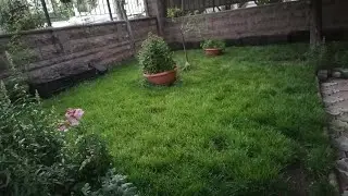 Aşırı Kolay Çim Bakımı ✅