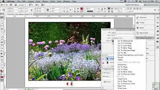 tutorial adobe indesign Multi-State Objects
