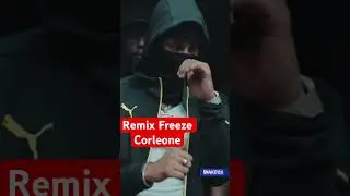Remix Freeze Corleone - T&eacute;l&eacute;phone #freezecorleone #667 #remix #madizm