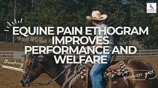 Equine Pain Ethogram Improves Performance and Welfare