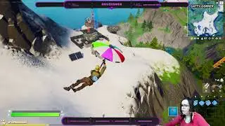 Aniushkania plays Fortnite!