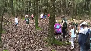 Free day camp gives children the opportunity to explore the outdoors