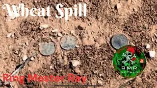 Просыпь пшеницы и многое другое!!! #garrettmetaldetectors #oldcoins #garrettatpro