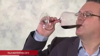 RIBERA DEL DUERO TIPO ROBLE N&ordm; 1
