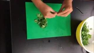 How to Use Herb Scissors