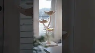 the best looking cat tree? 👀