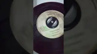 Wayne FIre - The No Bow