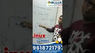What is Linux OS?