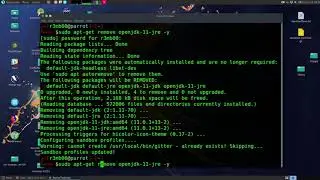 How completelly remove java openjdk 11 from Parrot Security Linux