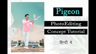 Pigeon Photo editing Tutorial in Photoshop in Hindi ||