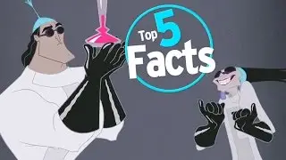 Top 5 Perfume Facts You Never Knew
