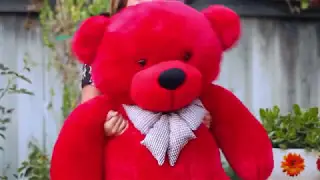Rare true red teddy bear from Giant Teddy brand, Bitsy Cuddles sizes 4ft tall,