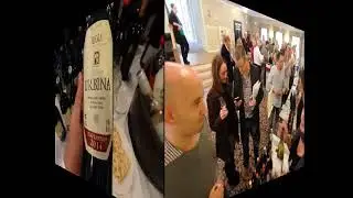 Fareham Wine Cellar Portfolio Wine Tasting