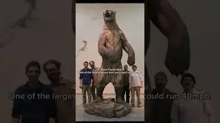 Top 5 Pleistocene Predators...