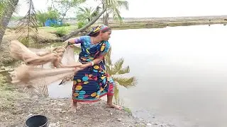 Amazing village women net fishing | Best fishing video | Unique fishing | Tilapia fish