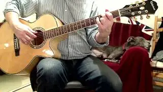 EmmyLou Harris - Americana Style Guitar