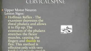 Corticospinal Tract Injury - PathologicReflexes Perry J. Carpenter DC QME www.ezqmeceu.com