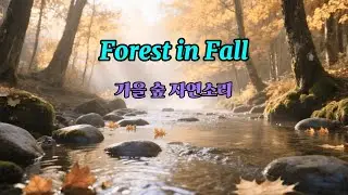 Autumn Creek Calm &ndash; #Autumn #Forest #Creek #NatureAmbience #NatureSounds #Relaxing #Meditation