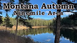 Outstanding Fall Colors - Ninemile Area - near Missoula, Montana MT