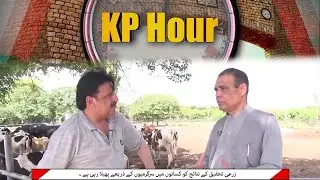KP Hour | 01 Sep 2024 | Khyber News