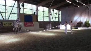 Uster 2015 - Voltige Grolley