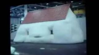 Erwin Wurm's 
