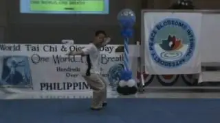 World Tai Chi and Qigong Day 2017 Philippines - organized by Peace Blossoms Internal Arts Society
