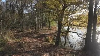 Forest of Dean Cannop Ponds and Railway Walk