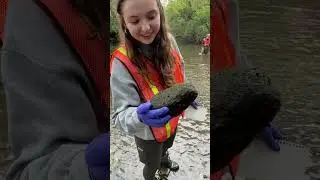 Environmental Science Students Conduct Fieldwork in Local Stream