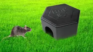 RatX Bait Stations