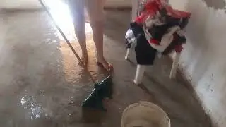 SABADO DE LIMPEZA E ORGANIZAÇÃO NA CASA.🥰🙏