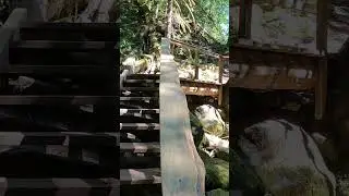 Dragons Back Trail (Kw&rsquo;okw&rsquo;ech&iacute;wel Stl&rsquo;&aacute;leqem) in Hope, BC - Vancouver Trails