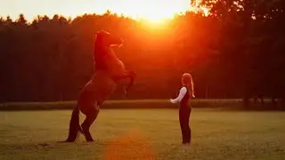 Freedom I A friendship of horse and human 🌿