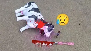 Wadidau..!! Proses Potong Sapi Kurban | Greenly mini  Cow