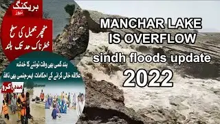 Lake Manchar Is Overflowing || Toll Plaza || Dadu || Indus Highway || Sindh Flood Update || 2022 ||