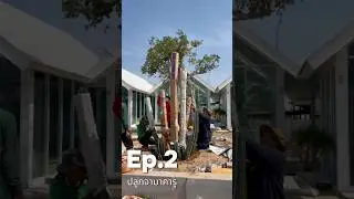 Ep.2 จัดสวนกระบองเพชร 🌵🌵 #ไร่วันยังขำ #farming #กระบองเพชร #cactus #แคคตัส #จามาคารู #จัดสวน